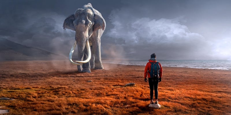 Mysterious Encounters